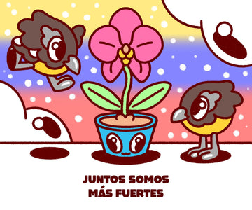 Paño Venezuela